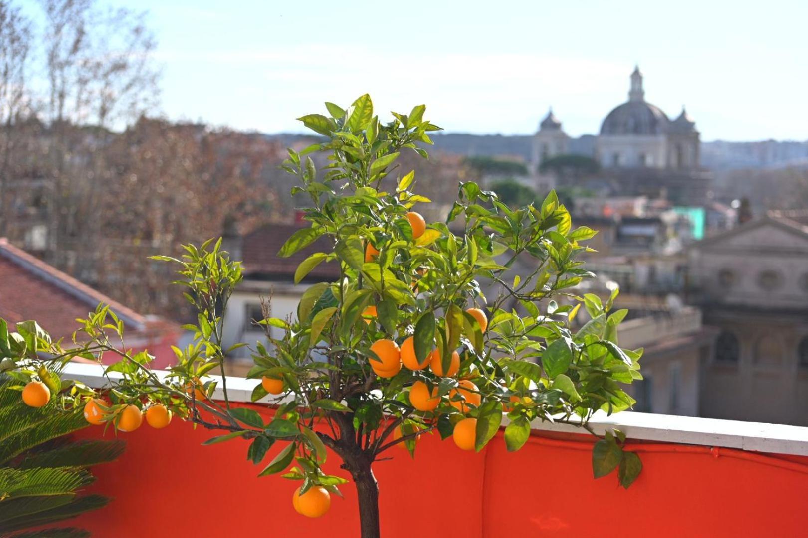 Farnesina Rooftop Terrace Rom Exteriör bild